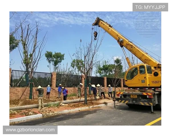 杭州篮球队耐力探秘:从训练到比赛的全方位解析与展望 杭州篮球队耐力探秘:从训练到比赛的全方位解析与展望